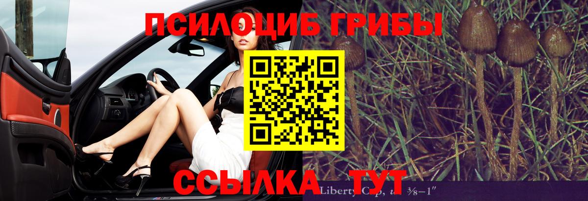 Кувандык  Галлюциногенные грибы ЛСД  Вход с VPN 